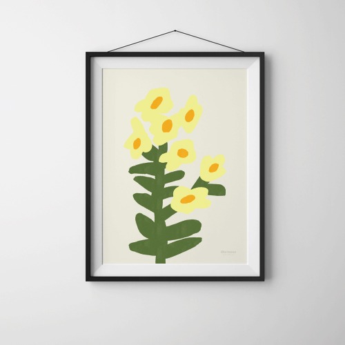 POSTER - FLOWER (A TOADFLAX)
